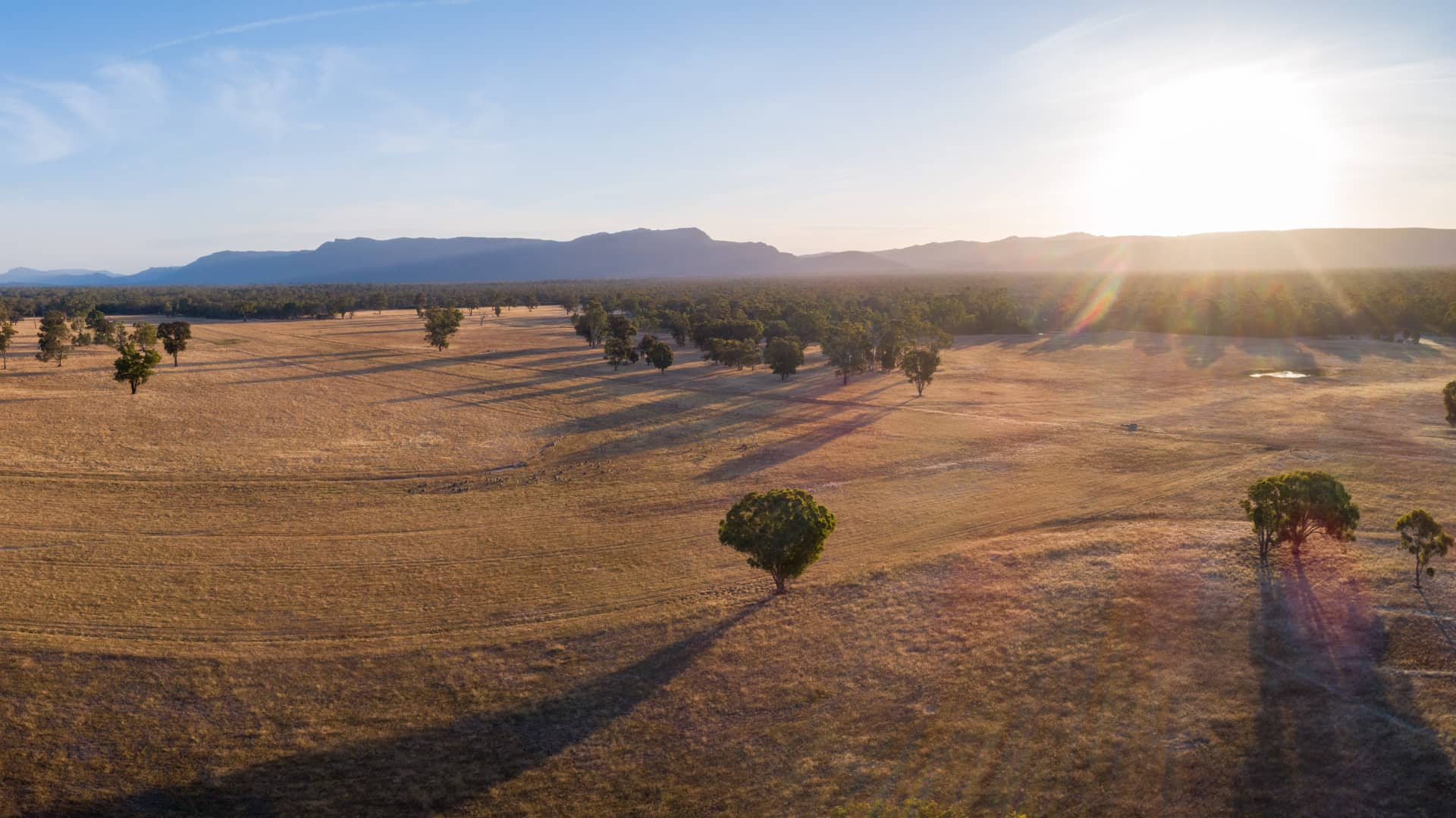 shadows landscape