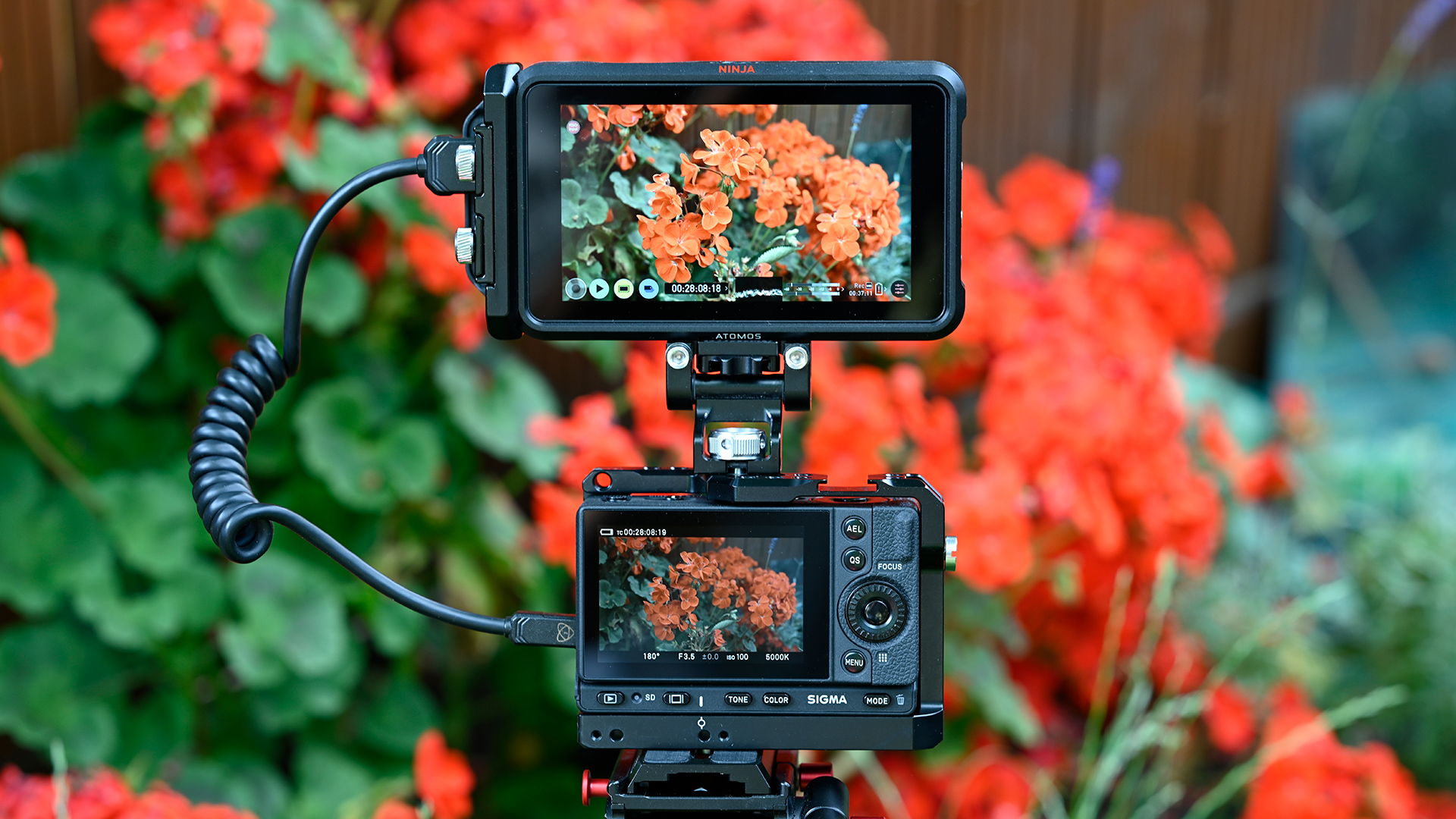 The SIGMA fp just got raw capabilities. Image: Atomos.