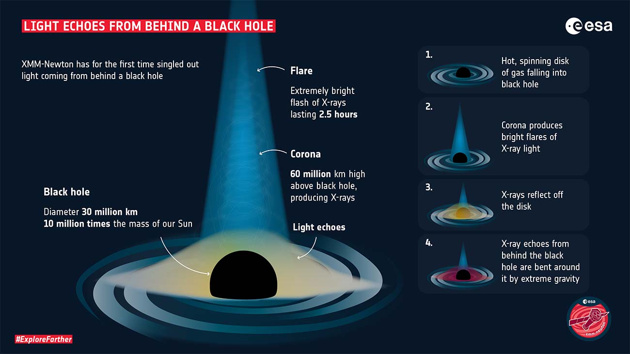 XMM-Newton sees light echo from behind a black hole